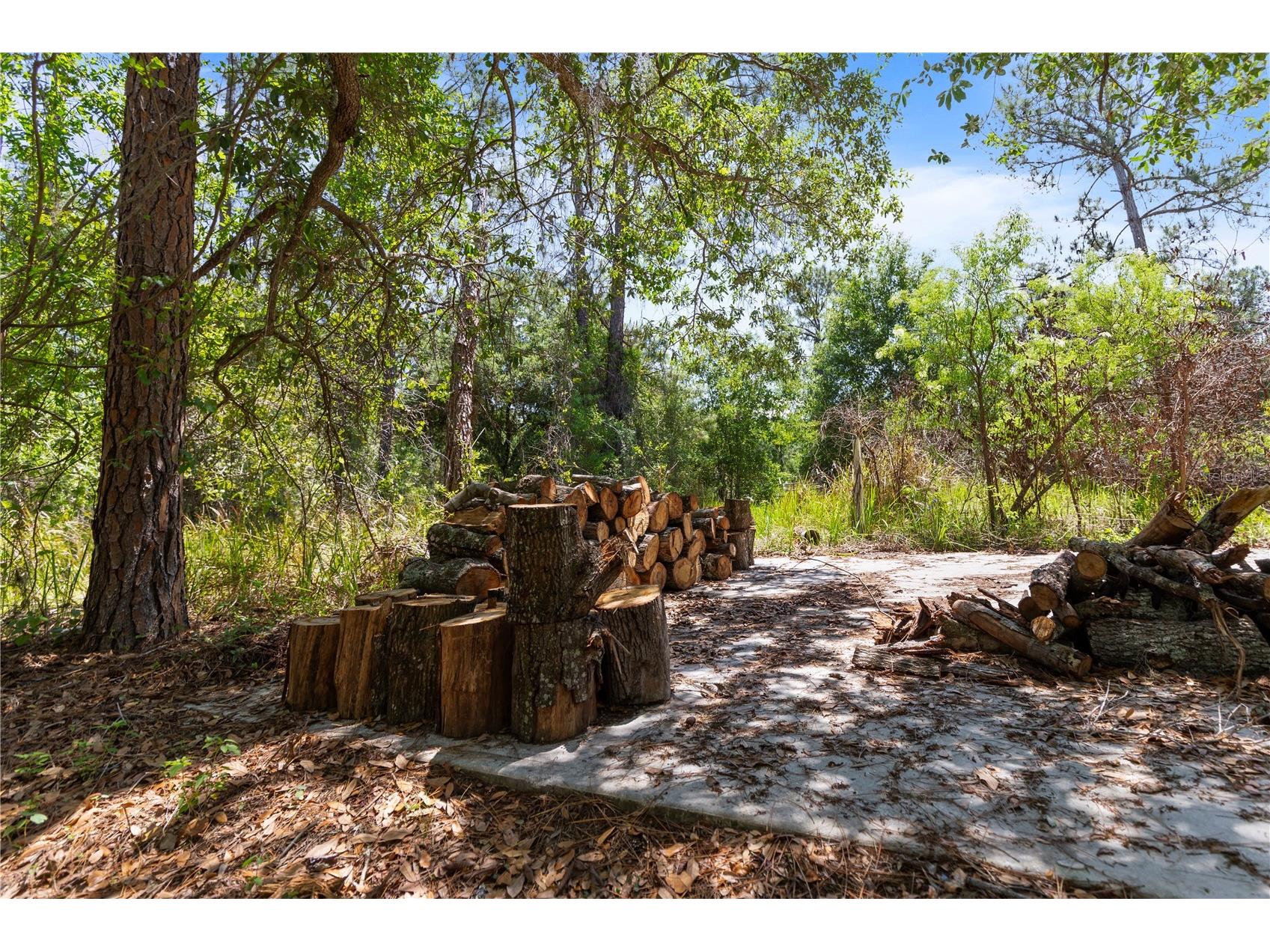 9121 Florida Boys Ranch Road Clermont FL 34711 S5147701 image10