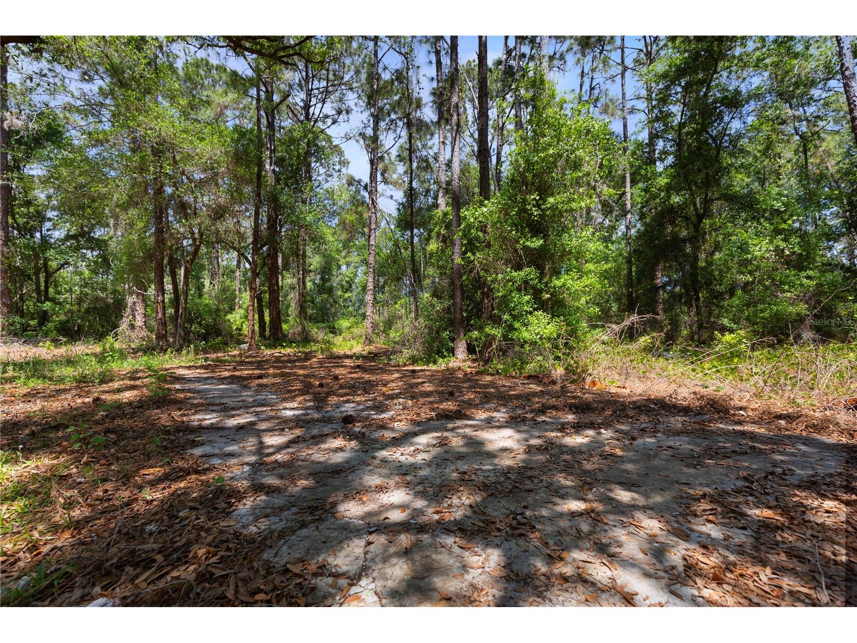 9121 Florida Boys Ranch Road Clermont FL 34711 S5147701 image11