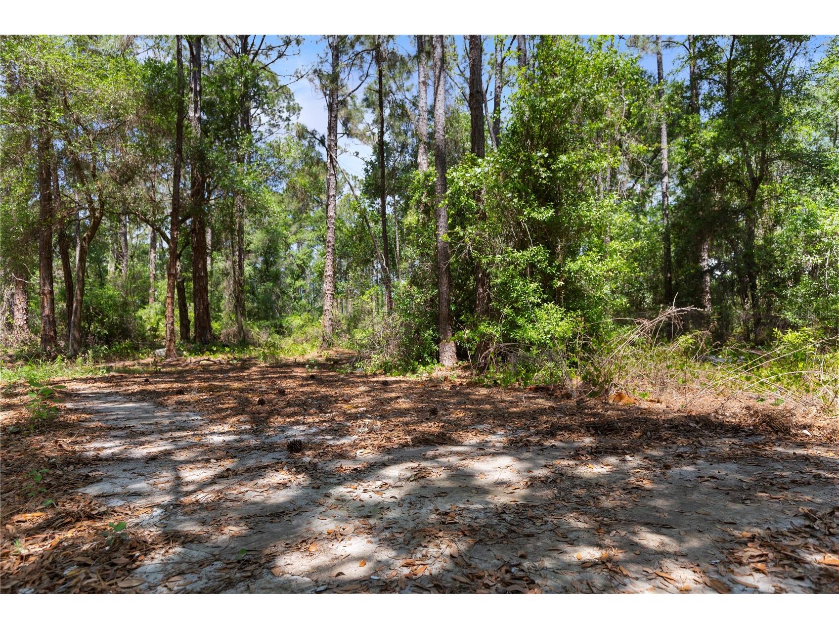 9121 Florida Boys Ranch Road Clermont FL 34711 S5147701 image12
