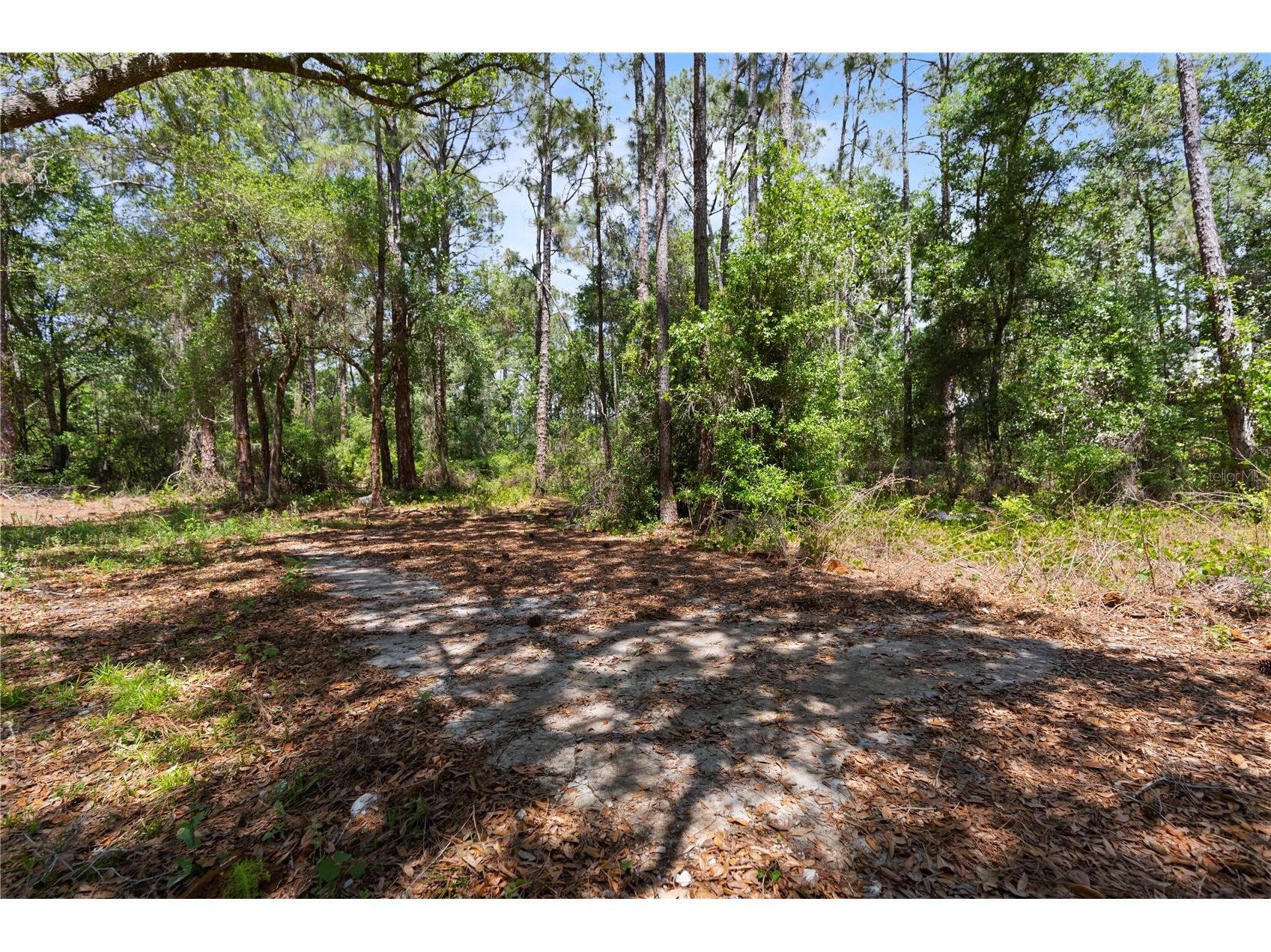 9121 Florida Boys Ranch Road Clermont FL 34711 S5147701 image13
