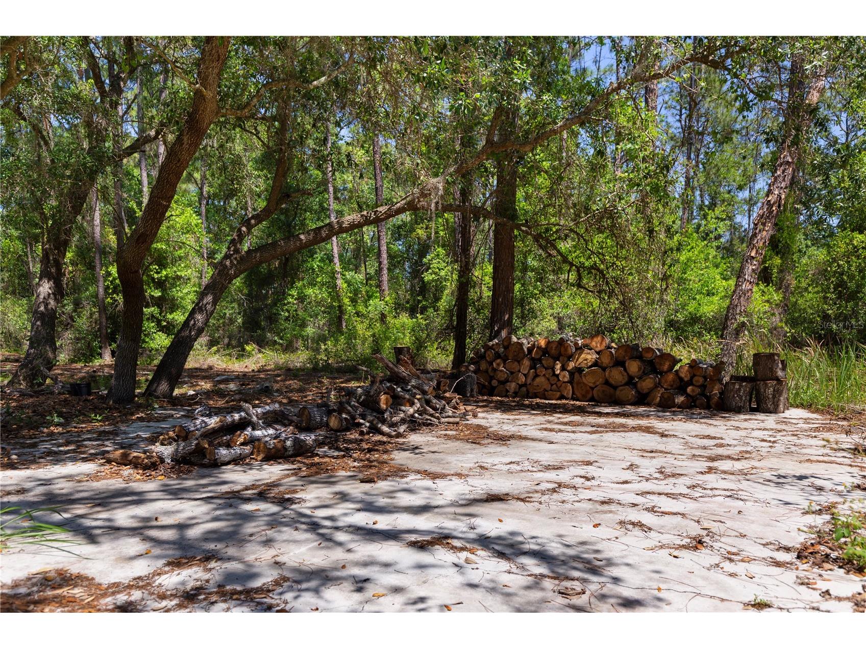9121 Florida Boys Ranch Road Clermont FL 34711 S5147701 image15