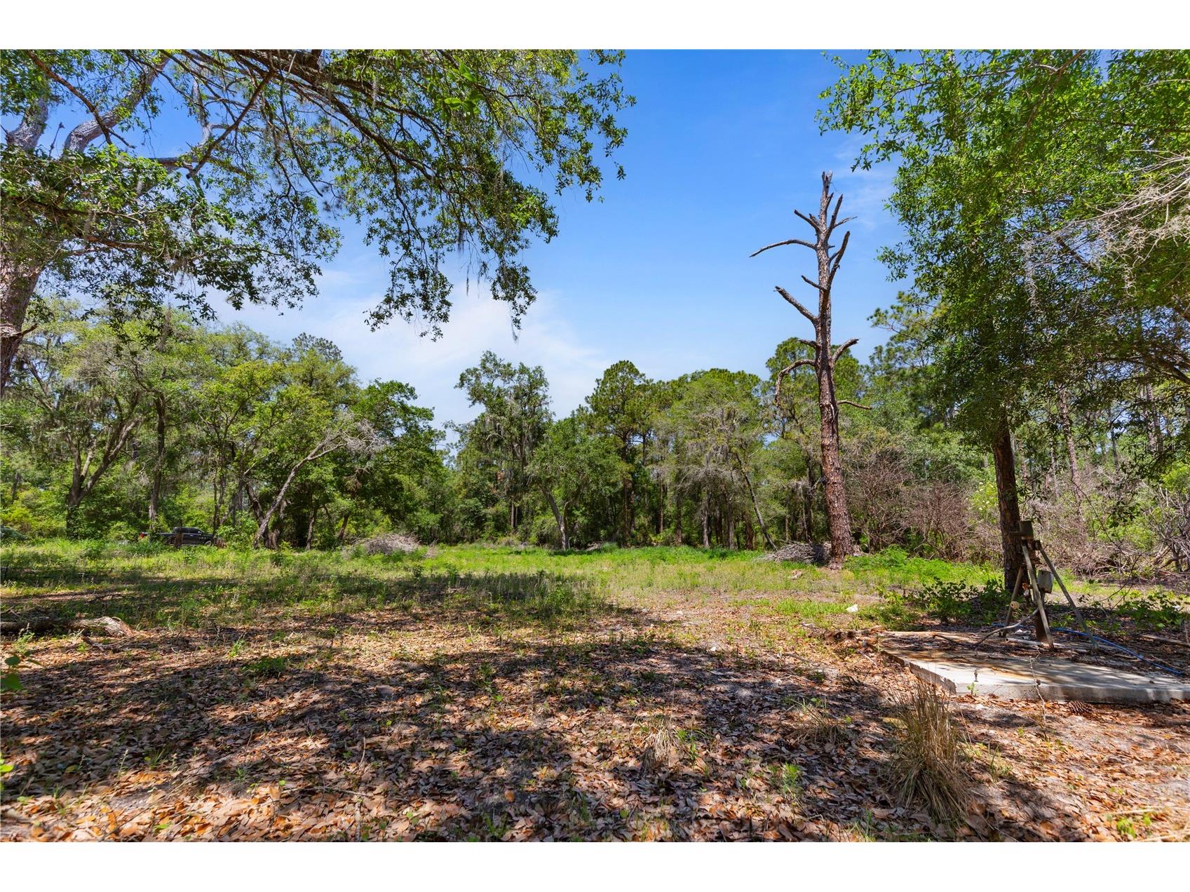 9121 Florida Boys Ranch Road Clermont FL 34711 S5147701 image17