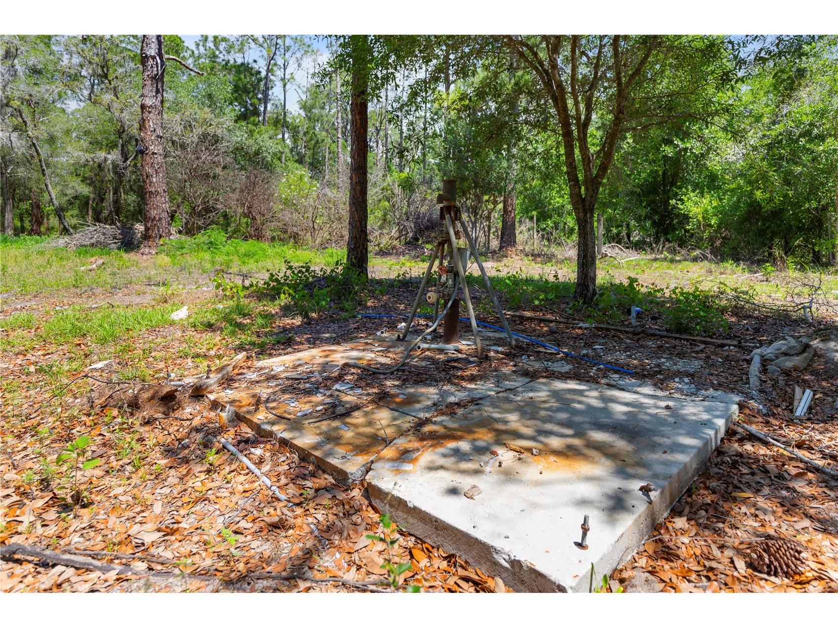9121 Florida Boys Ranch Road Clermont FL 34711 S5147701 image18
