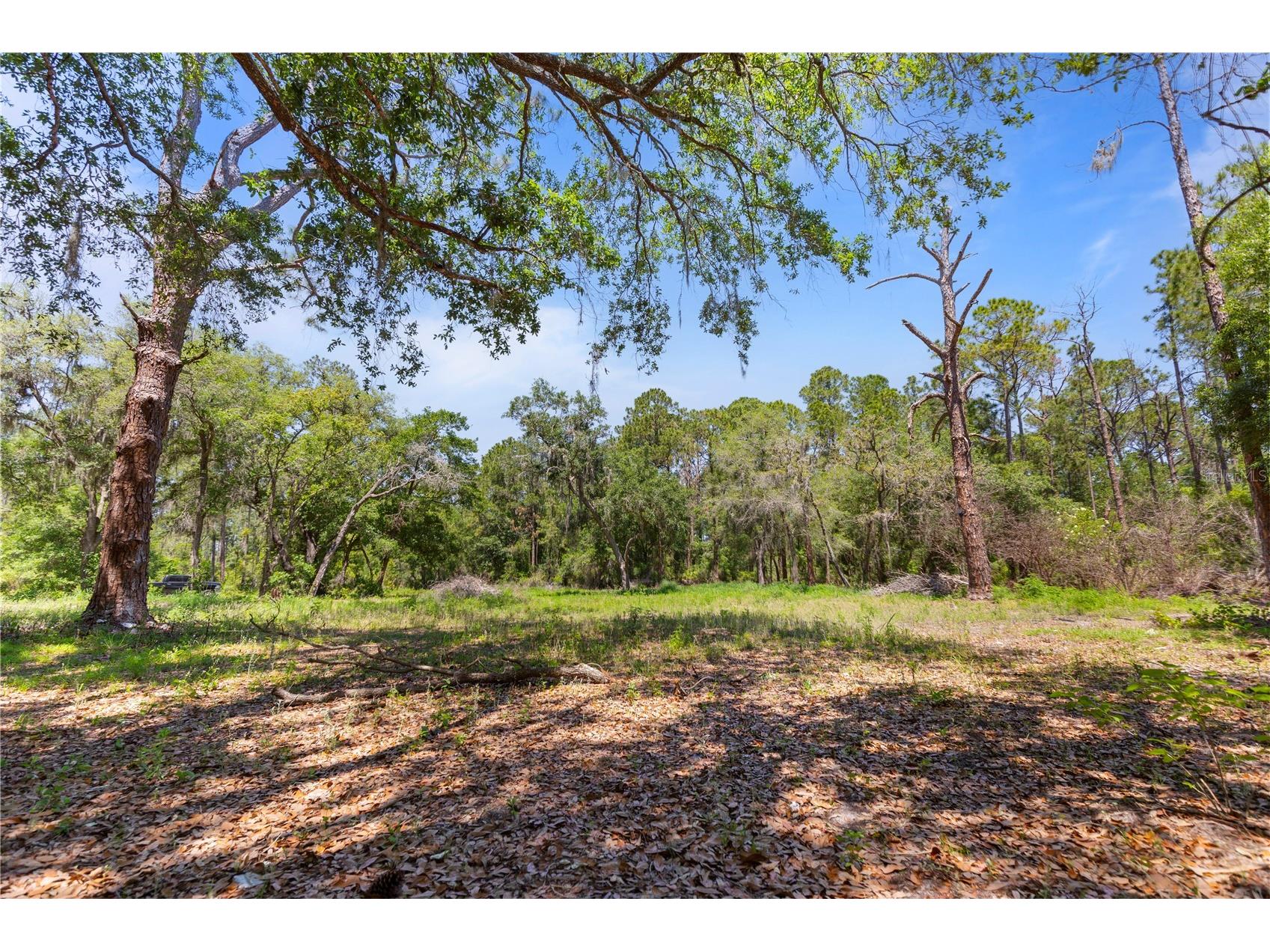9121 Florida Boys Ranch Road Clermont FL 34711 S5147701 image19