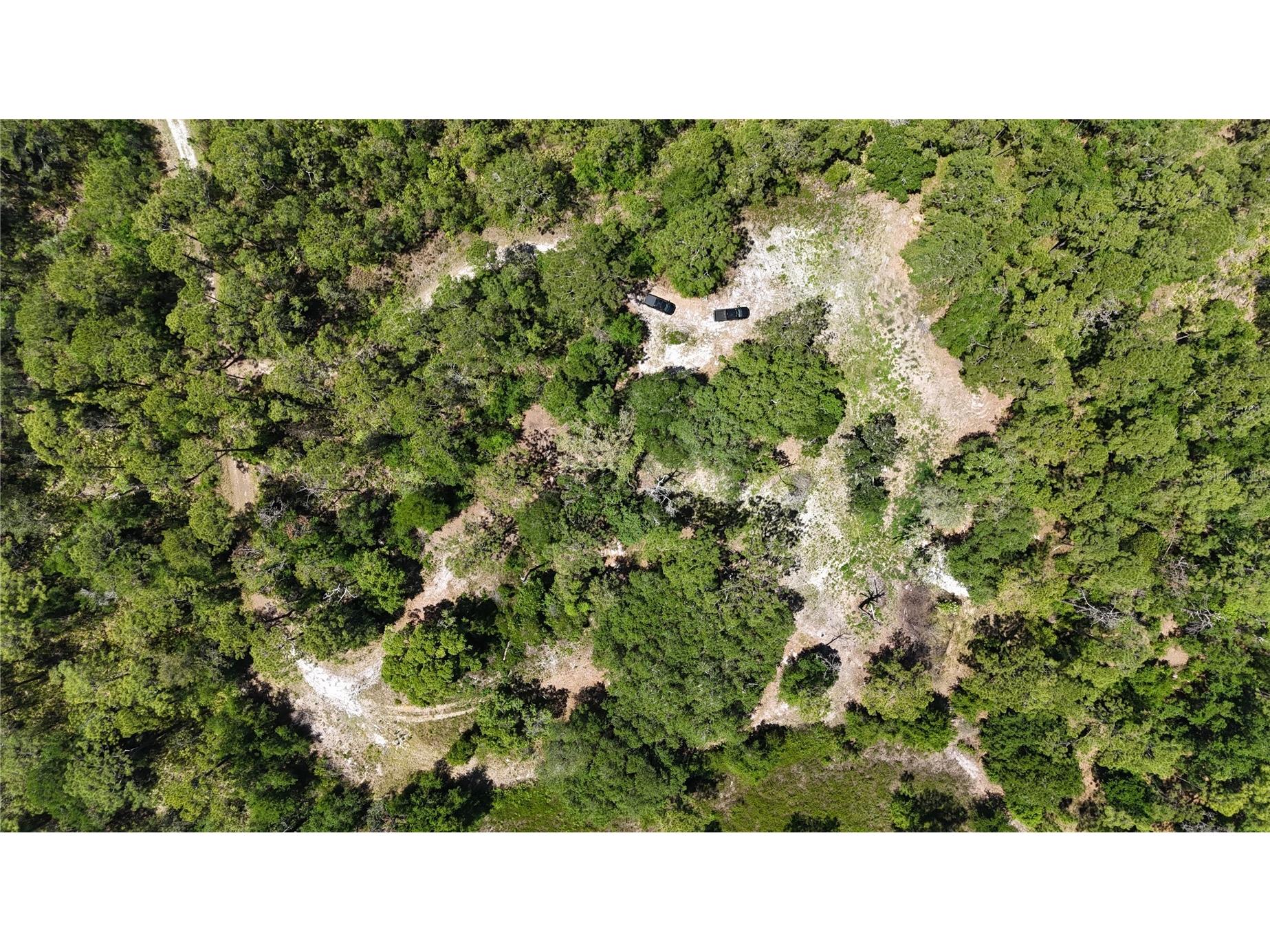 9121 Florida Boys Ranch Road Clermont FL 34711 S5147701 image2