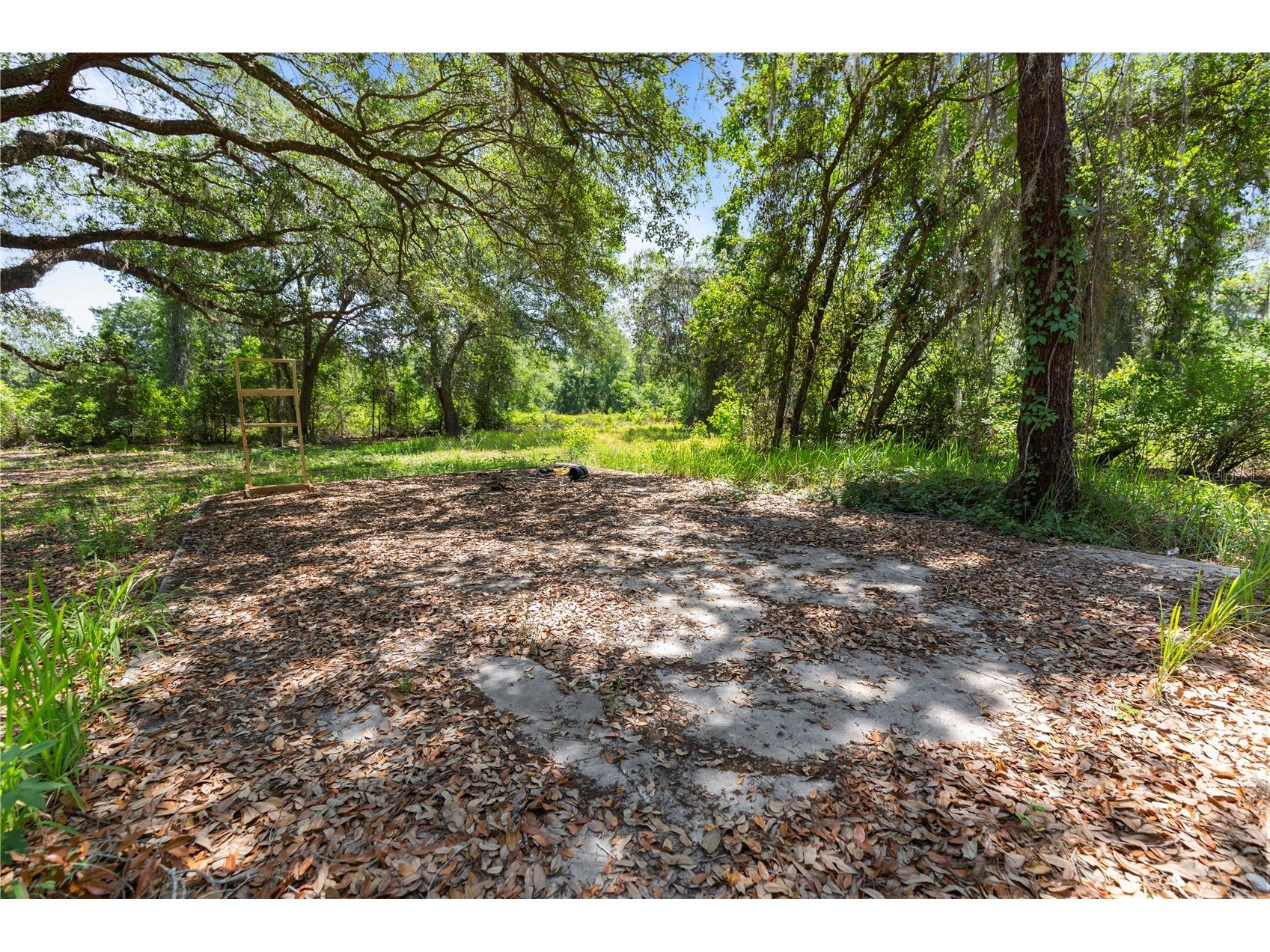 9121 Florida Boys Ranch Road Clermont FL 34711 S5147701 image21