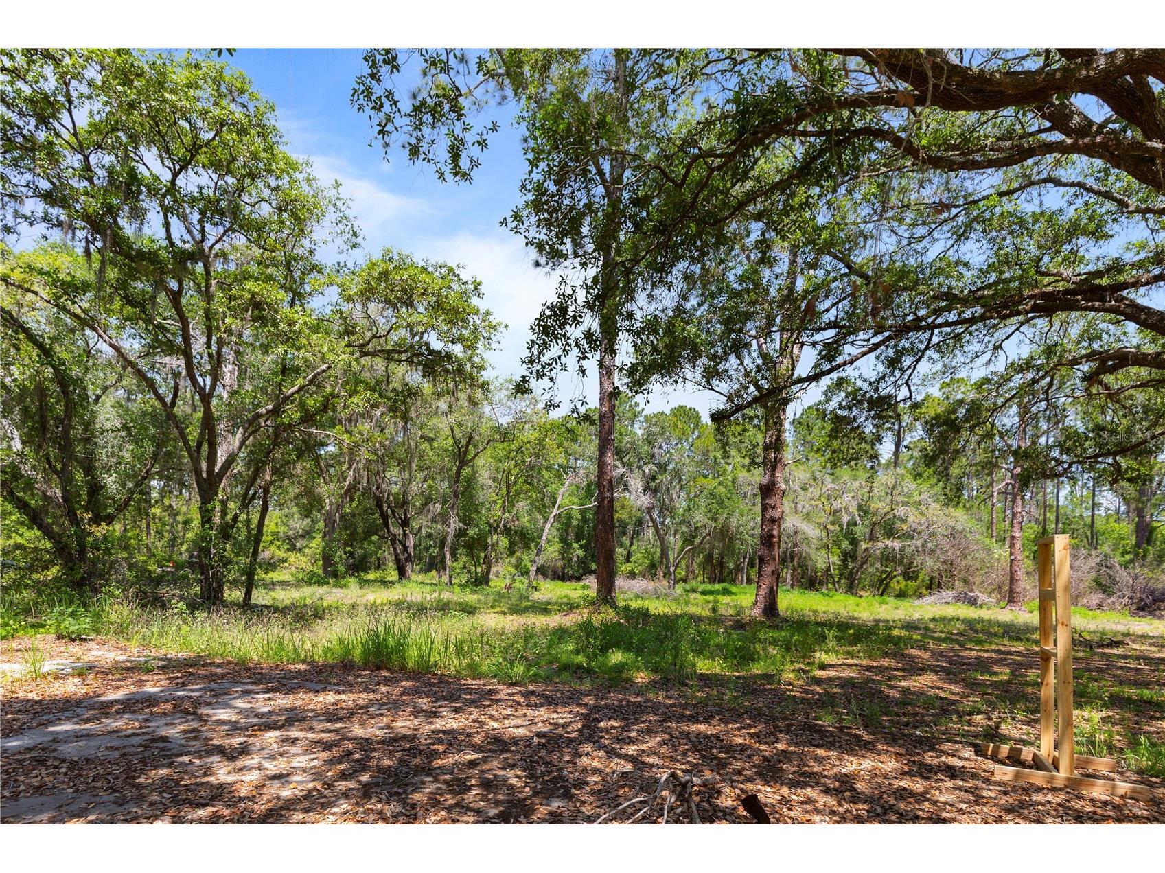 9121 Florida Boys Ranch Road Clermont FL 34711 S5147701 image22