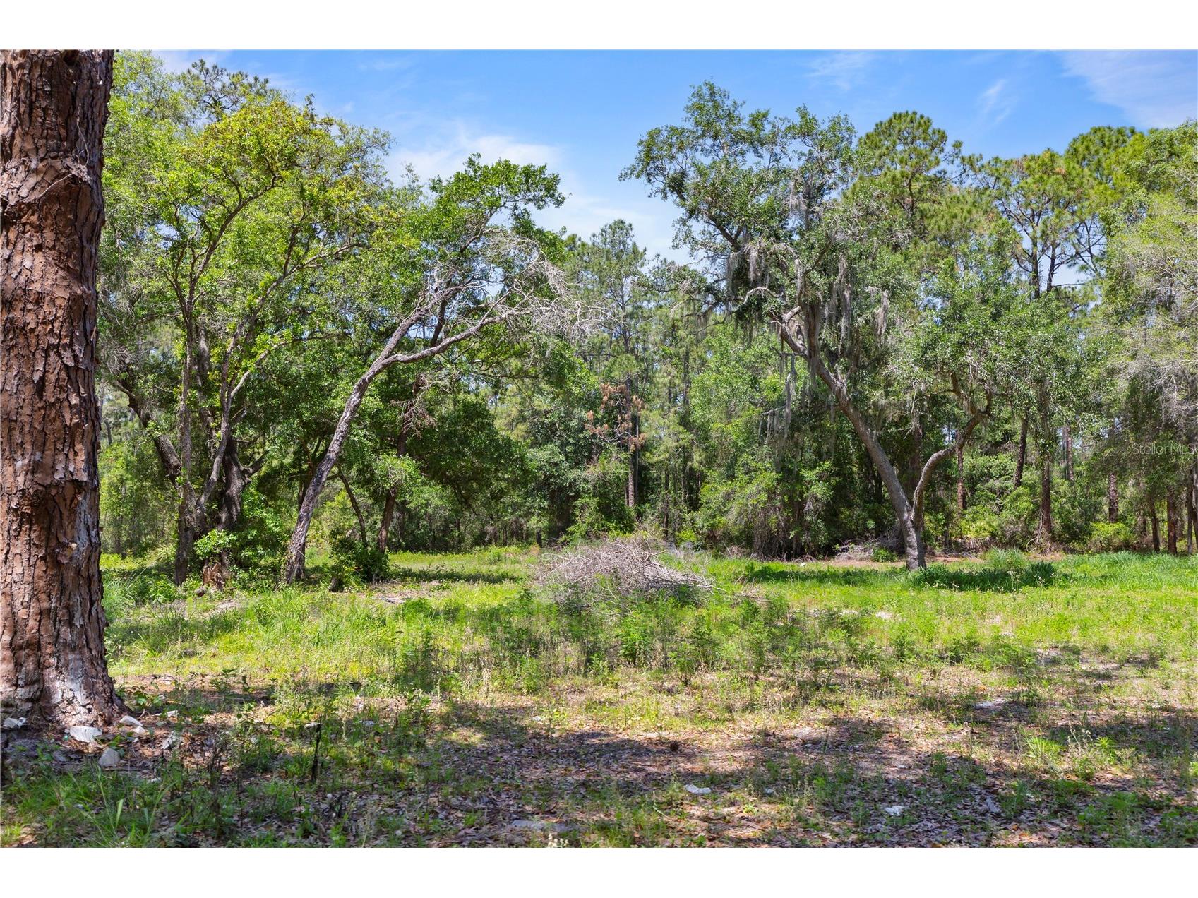 9121 Florida Boys Ranch Road Clermont FL 34711 S5147701 image23