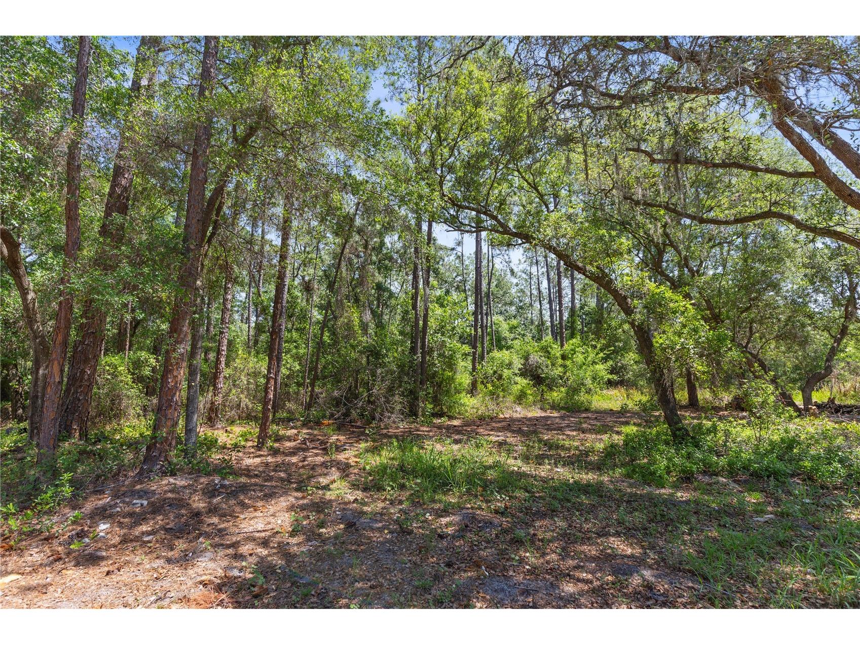 9121 Florida Boys Ranch Road Clermont FL 34711 S5147701 image24