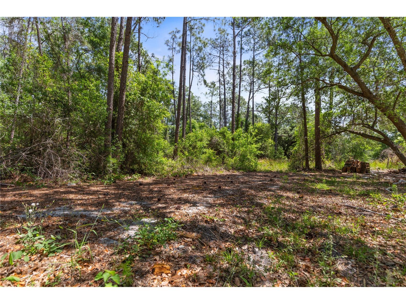9121 Florida Boys Ranch Road Clermont FL 34711 S5147701 image25
