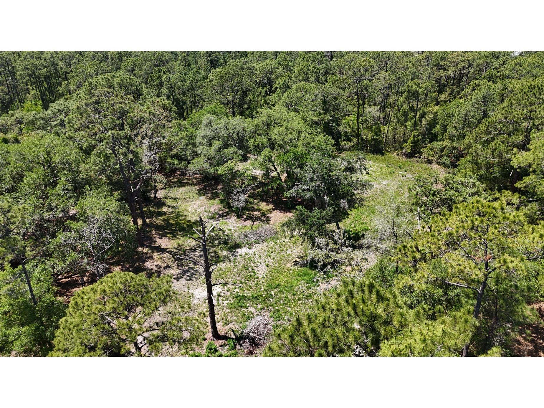 9121 Florida Boys Ranch Road Clermont FL 34711 S5147701 image3
