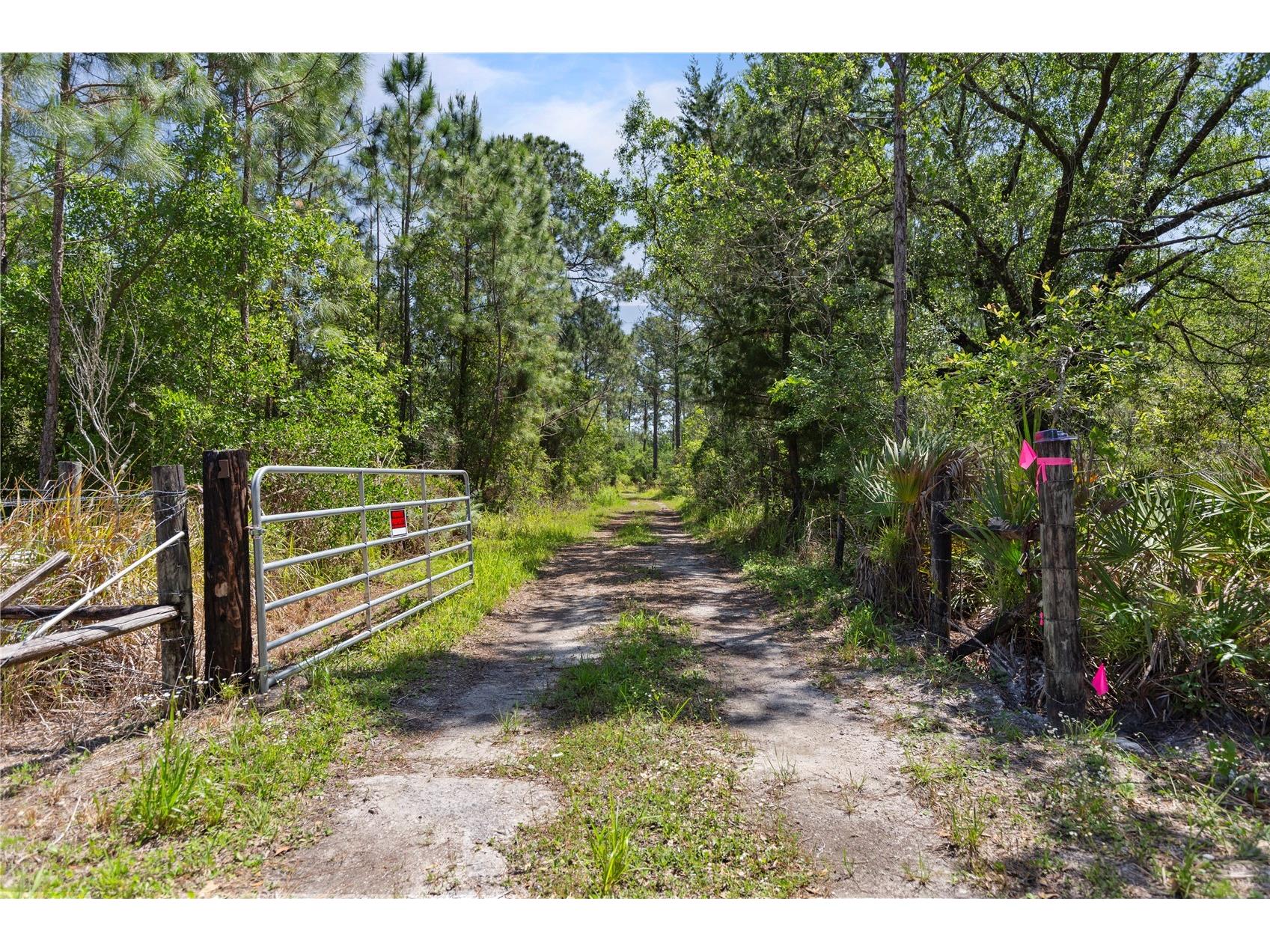 9121 Florida Boys Ranch Road Clermont FL 34711 S5147701 image4