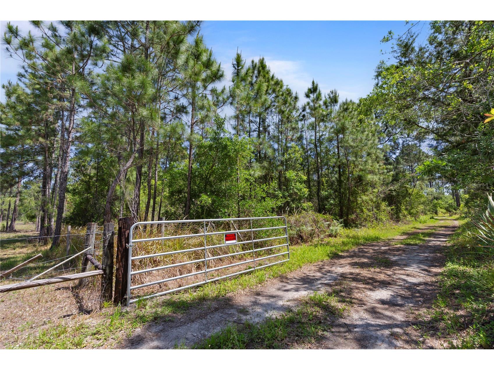 9121 Florida Boys Ranch Road Clermont FL 34711 S5147701 image5