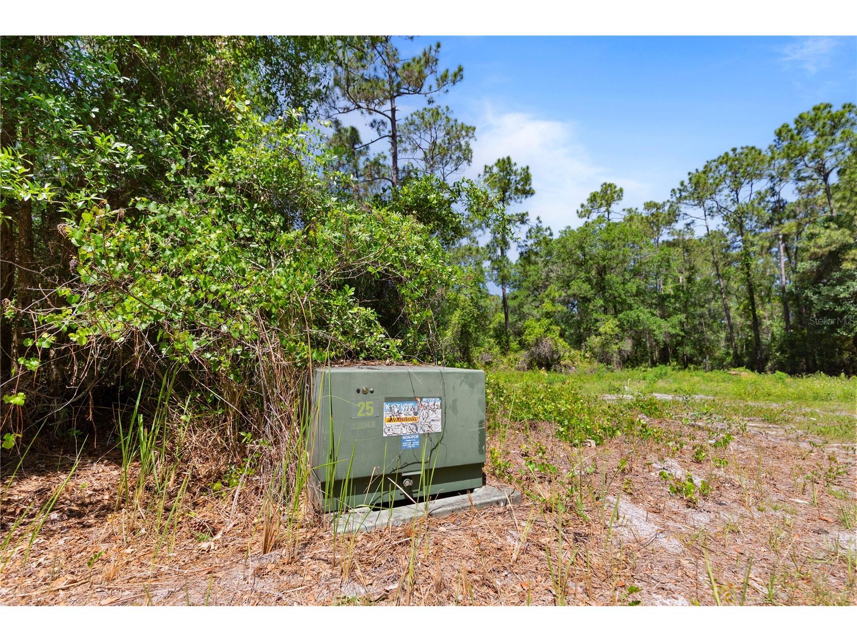 9121 Florida Boys Ranch Road Clermont FL 34711 S5147701 image7