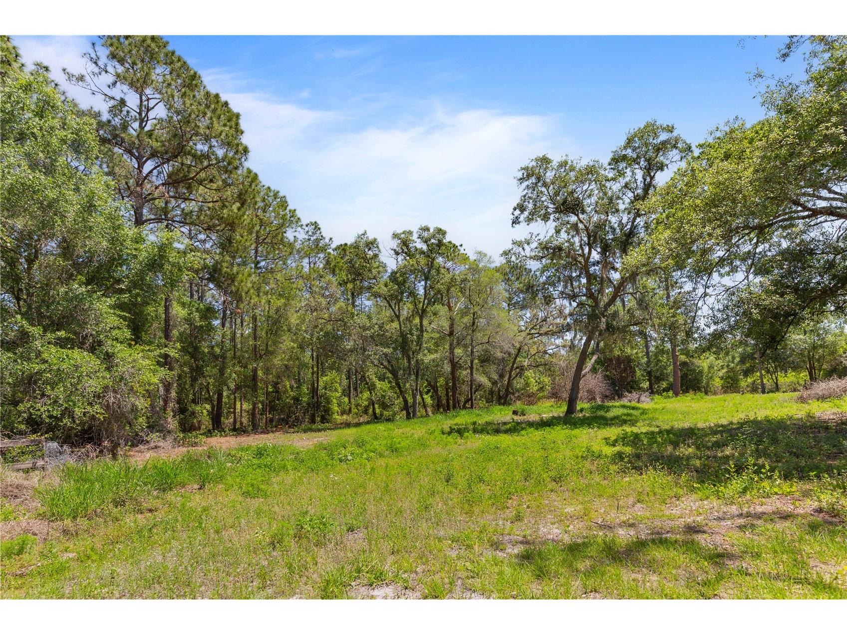 9121 Florida Boys Ranch Road Clermont FL 34711 S5147701 image8