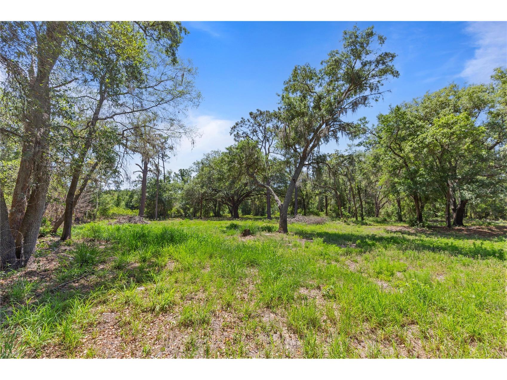 9121 Florida Boys Ranch Road Clermont FL 34711 S5147701 image9