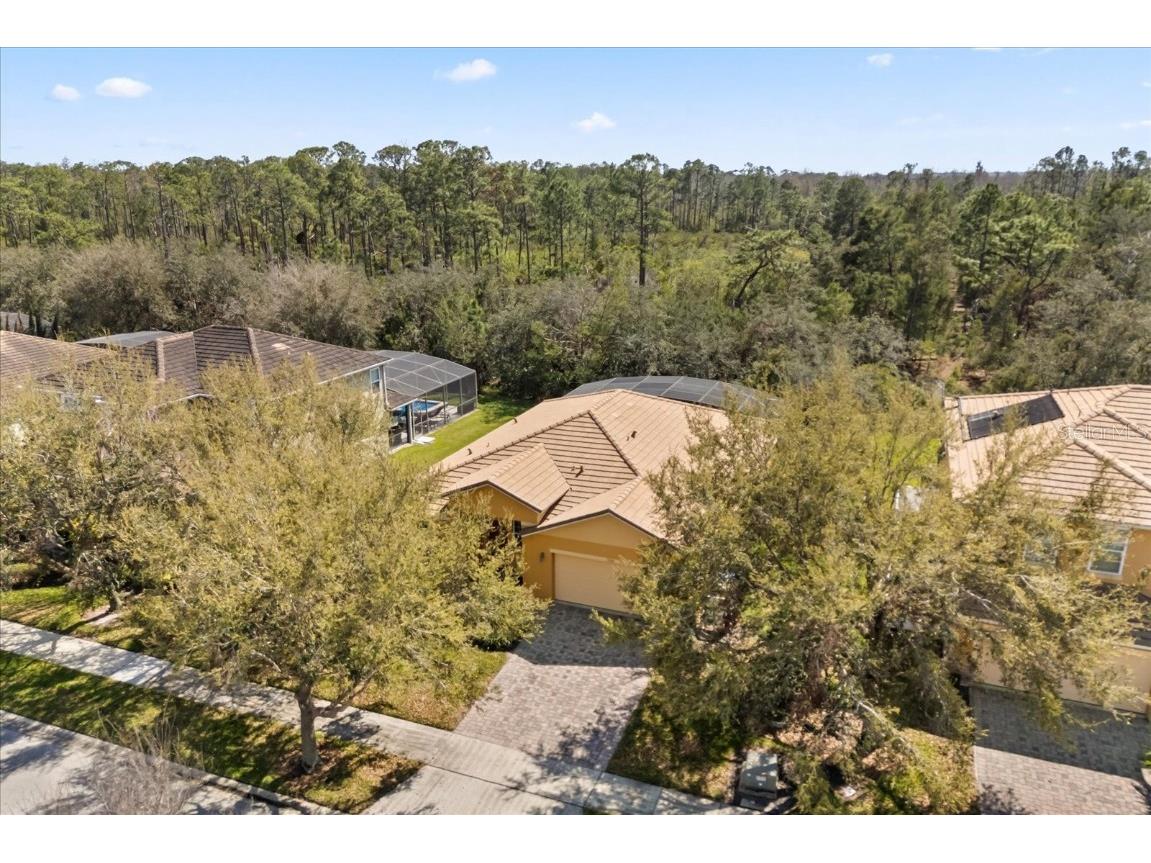 9122 Stromboli Court Kissimmee FL 34747 O6286908 image37