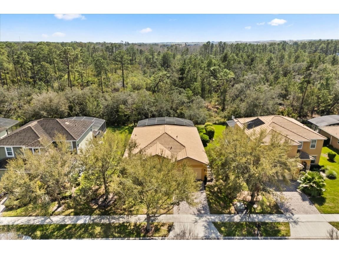 9122 Stromboli Court Kissimmee FL 34747 O6286908 image38