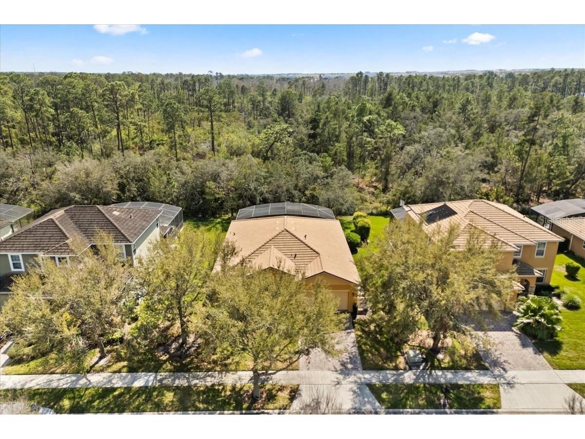 9122 Stromboli Court Kissimmee FL 34747 S5154388 image21