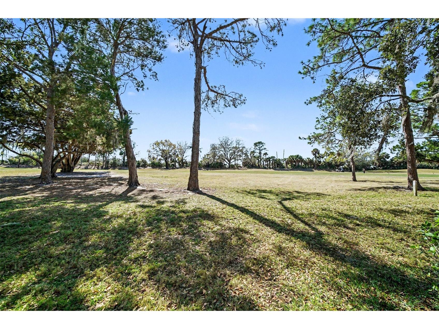 9124 Bassett Lane New Port Richey FL 34655 TB8477384 image28