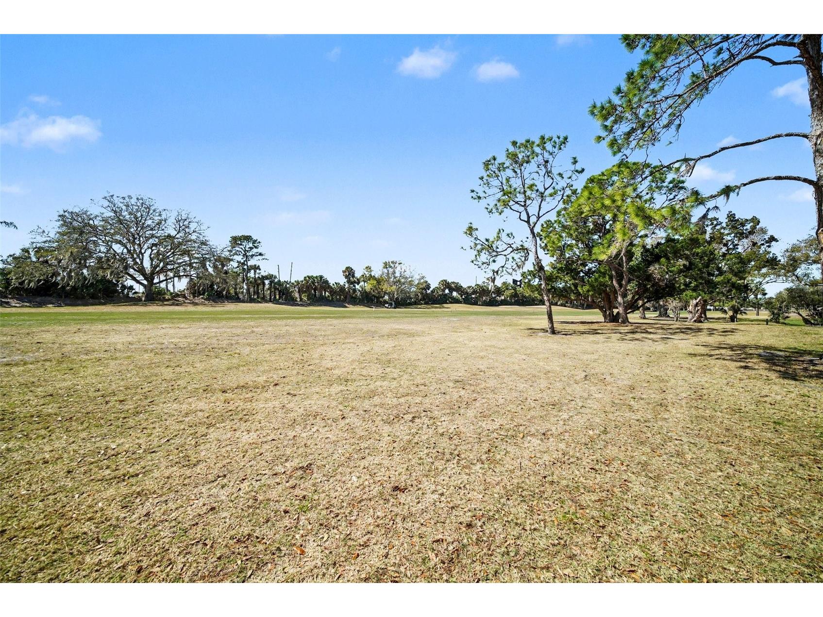 9124 Bassett Lane New Port Richey FL 34655 TB8477384 image29