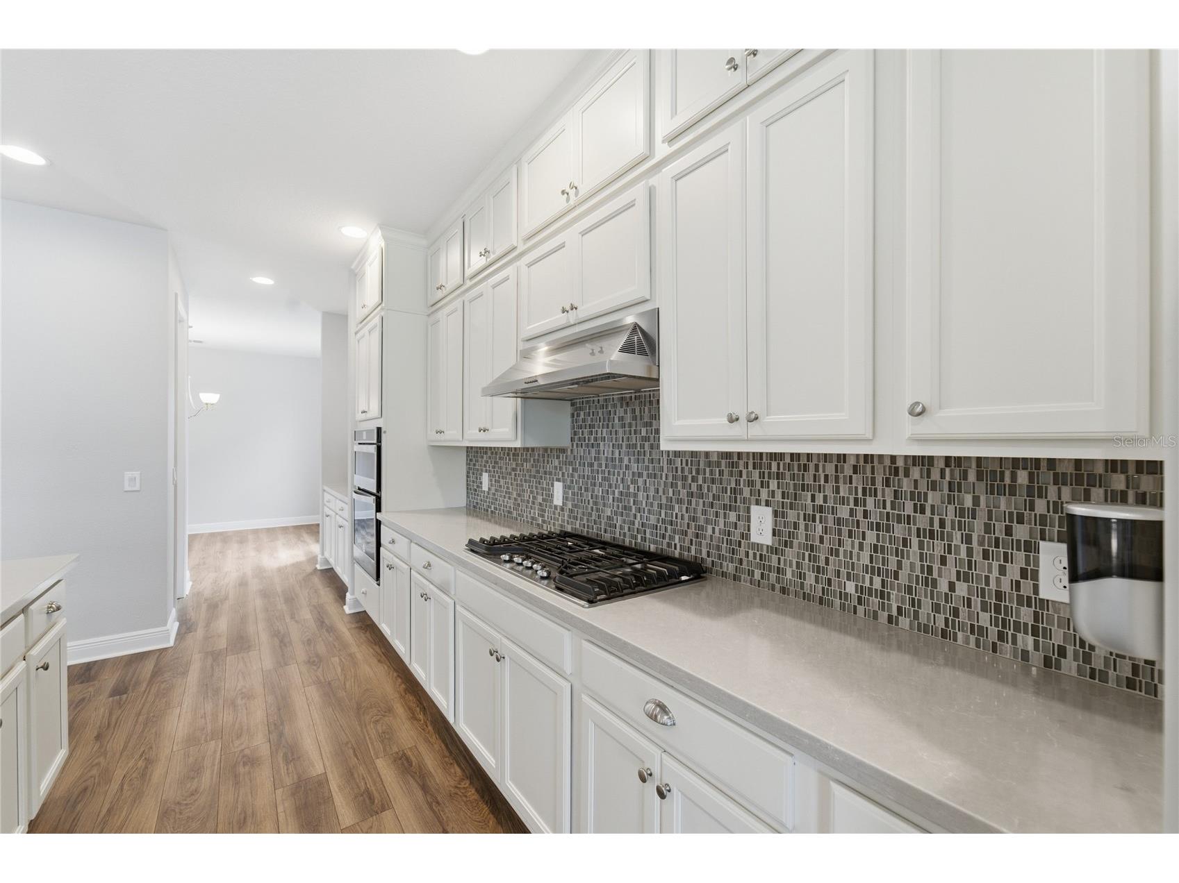 9124 Merlon Drive Winter Garden FL 34787 O6415804 image13