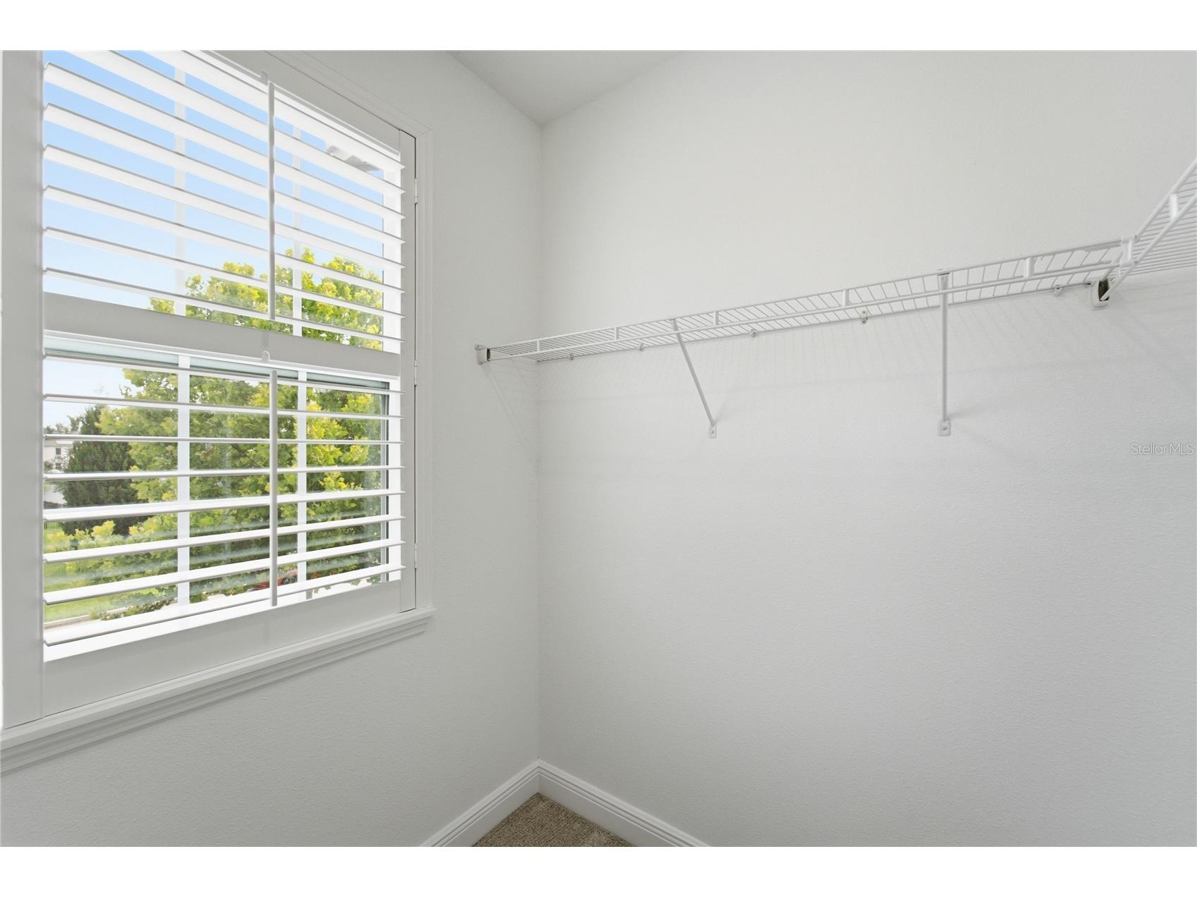 9124 Merlon Drive Winter Garden FL 34787 O6415804 image57