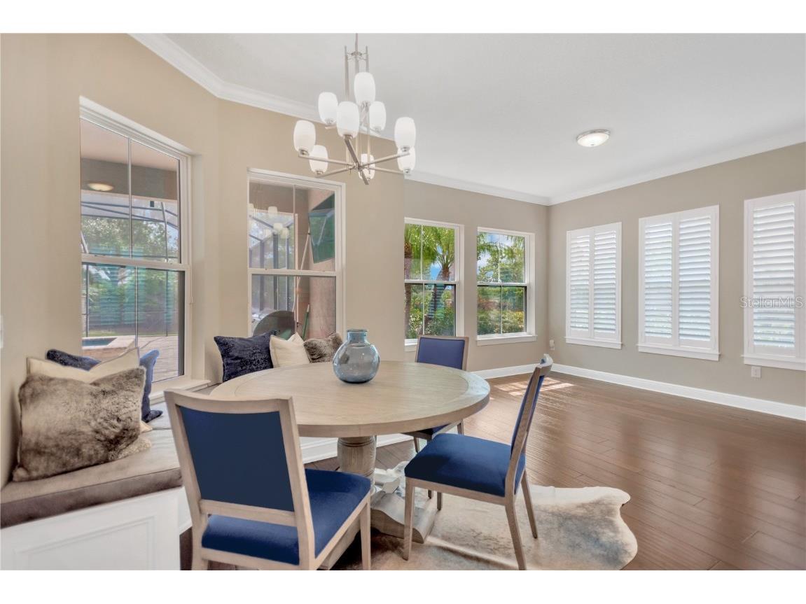 9124 Tillinghast Drive Tampa FL 33626 TB8435004 image14