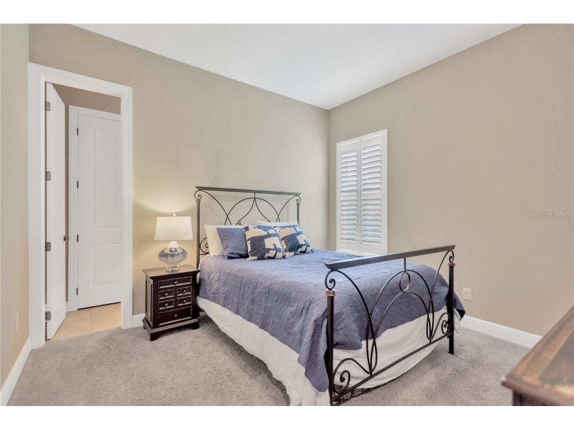 9124 Tillinghast Drive Tampa FL 33626 TB8435004 image22