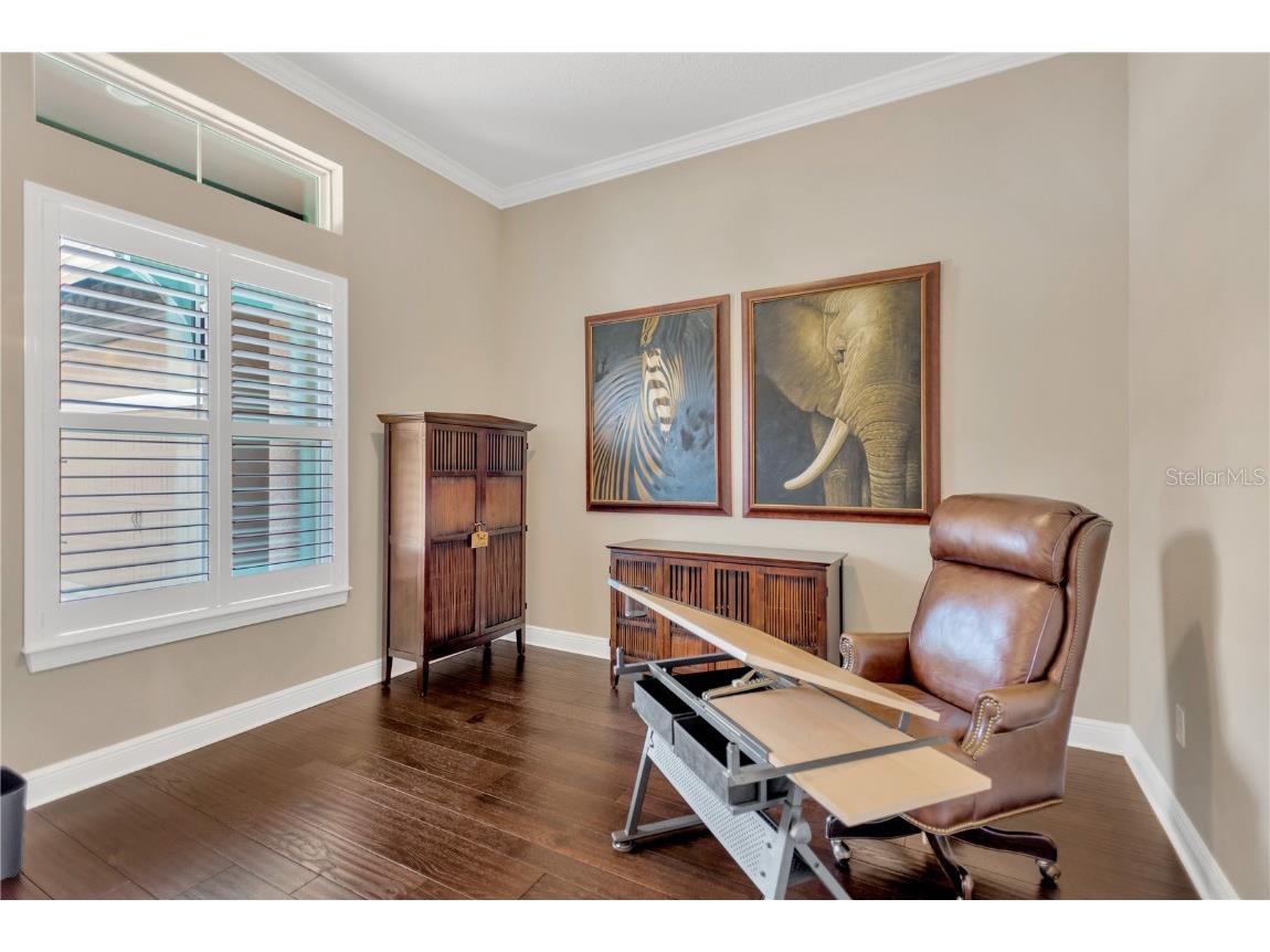 9124 Tillinghast Drive Tampa FL 33626 TB8435004 image5