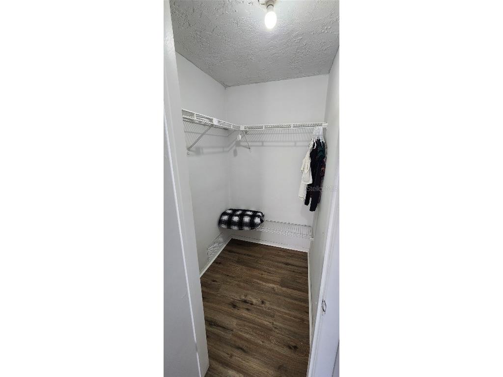 9125 Lunar Lane Port Richey FL 34668 TB8414042 image16