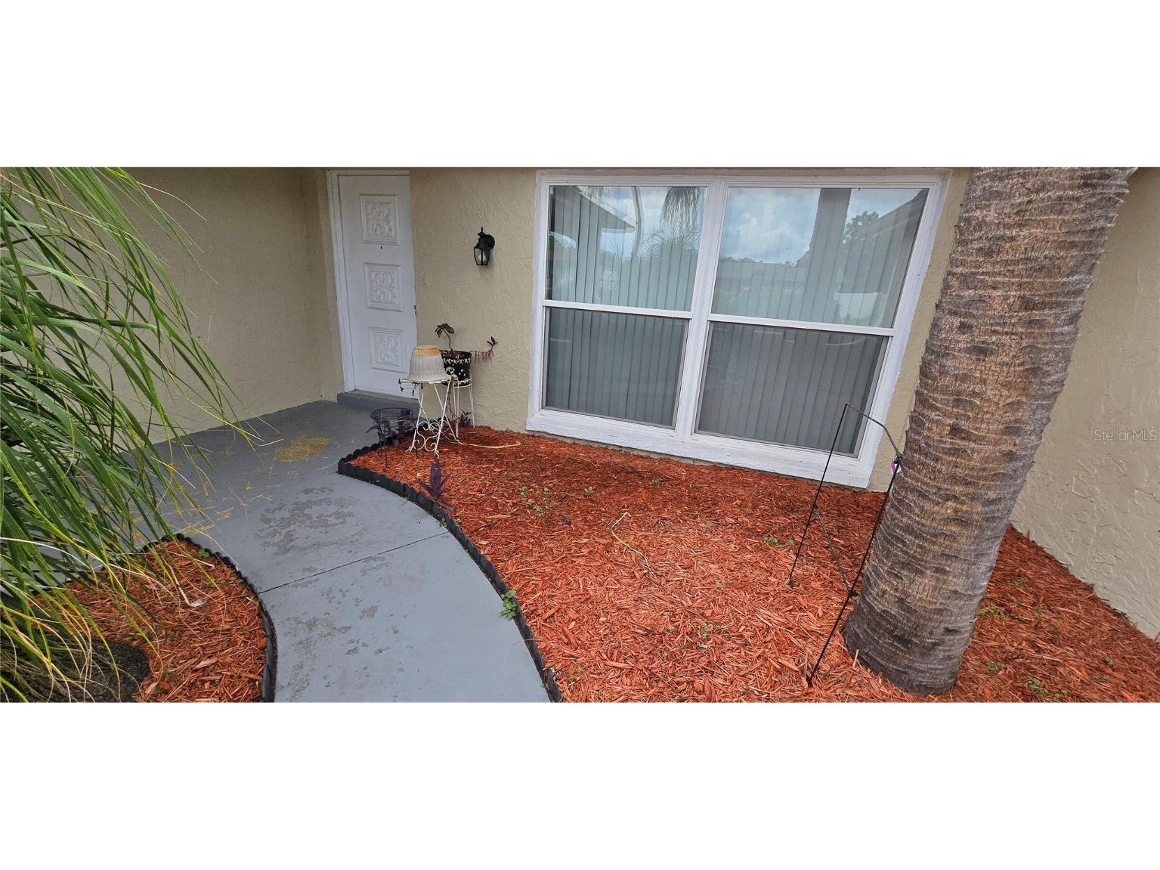 9125 Lunar Lane Port Richey FL 34668 TB8414042 image4