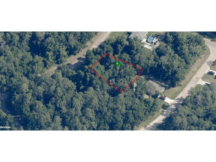 9125 N Mantle Way Dunnellon FL 34434 C7519380 image1
