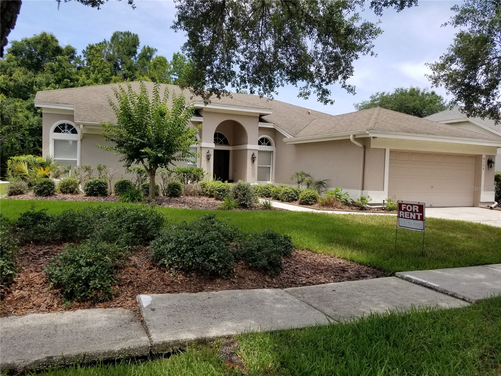 9126 Rockrose Drive Tampa FL 33647 TB8516732 image1
