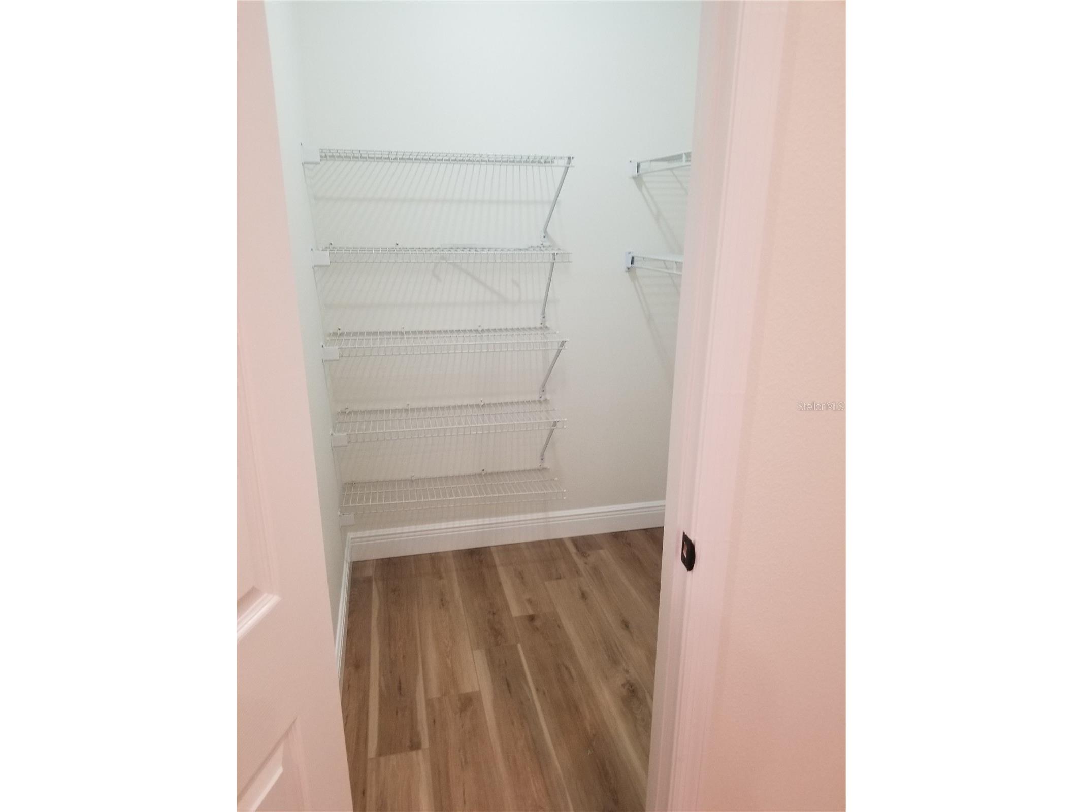 9126 Rockrose Drive Tampa FL 33647 TB8516732 image24