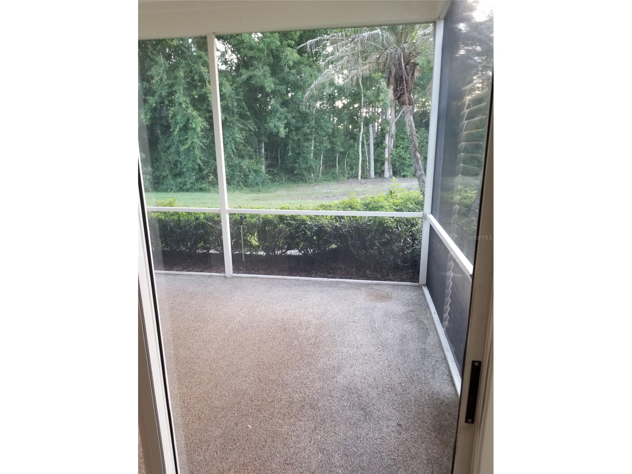 9126 Rockrose Drive Tampa FL 33647 TB8516732 image28