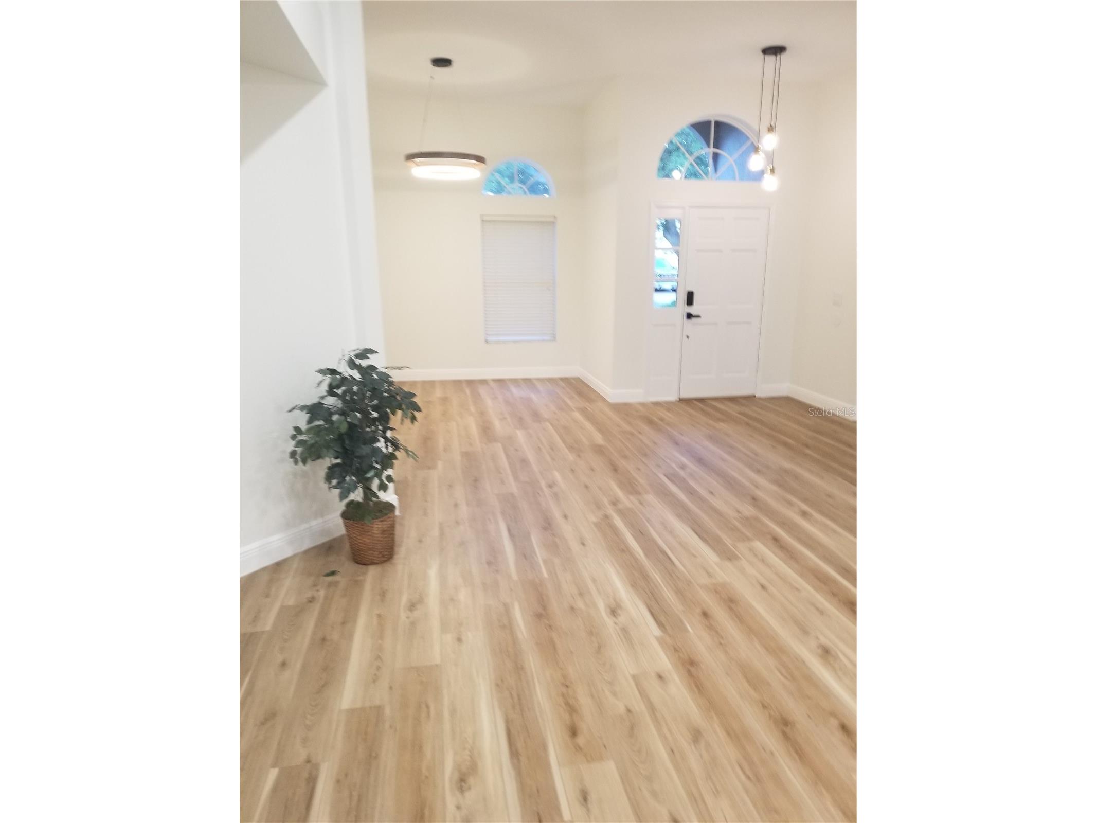 9126 Rockrose Drive Tampa FL 33647 TB8516732 image7