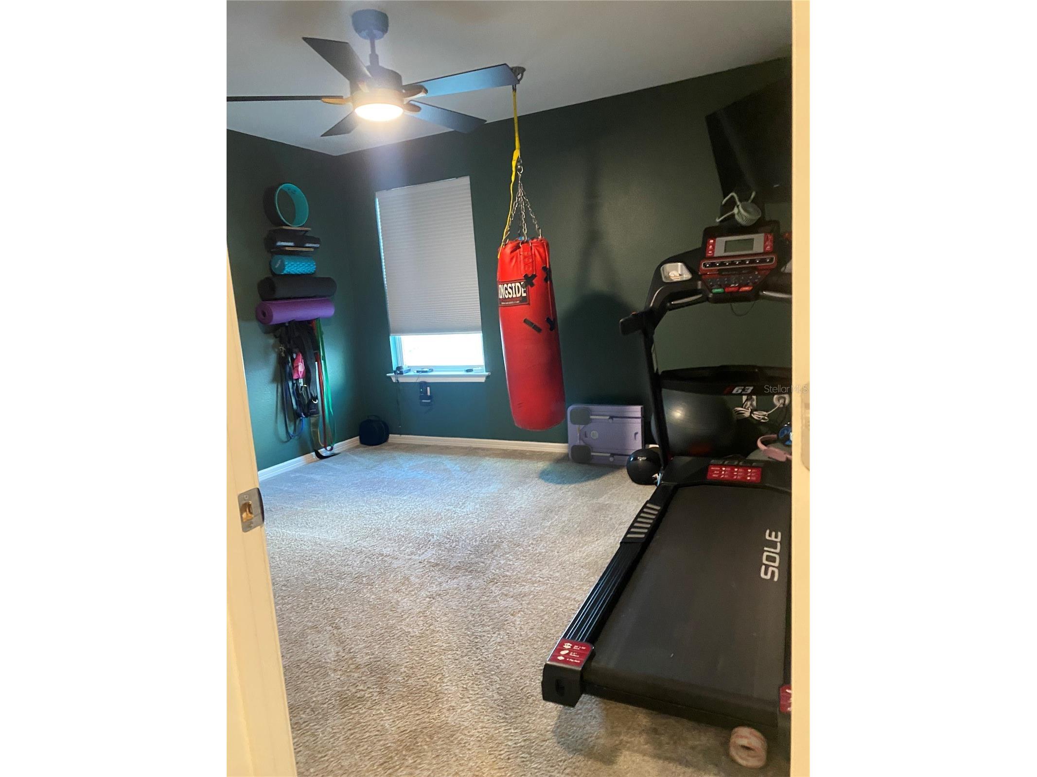 9126 Royal River Circle Parrish FL 34219 TB8521458 image46