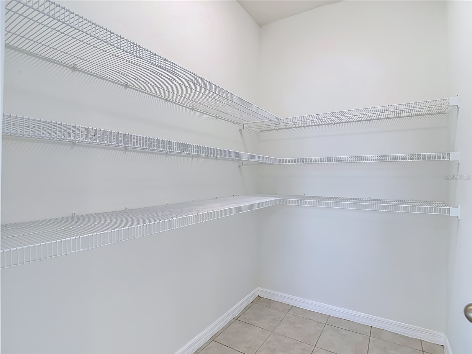 9127 Freedom Hill Drive Seffner FL 33584 O6411544 image53