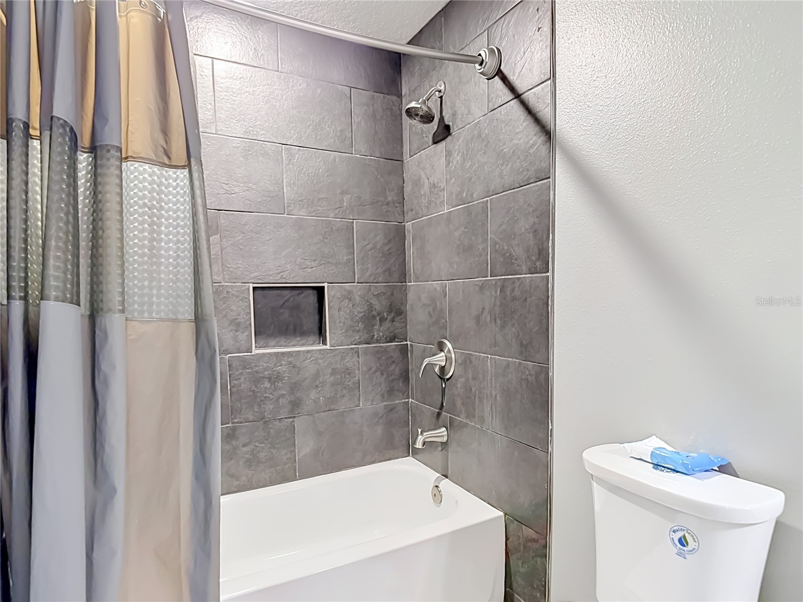 9127 Freedom Hill Drive Seffner FL 33584 O6411544 image58