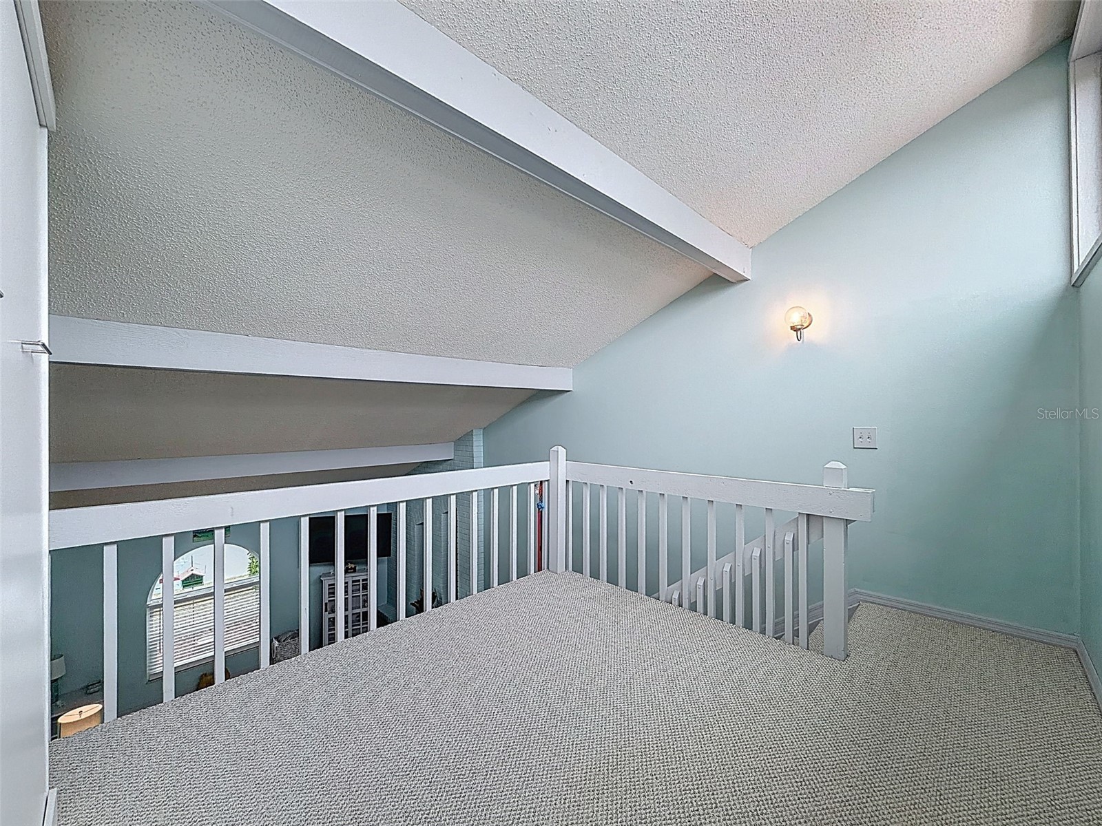 9127 Lingrove Road Weeki Wachee FL 34613 W7884791 image48