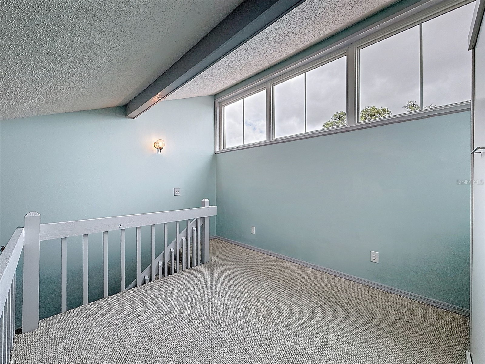 9127 Lingrove Road Weeki Wachee FL 34613 W7884791 image49
