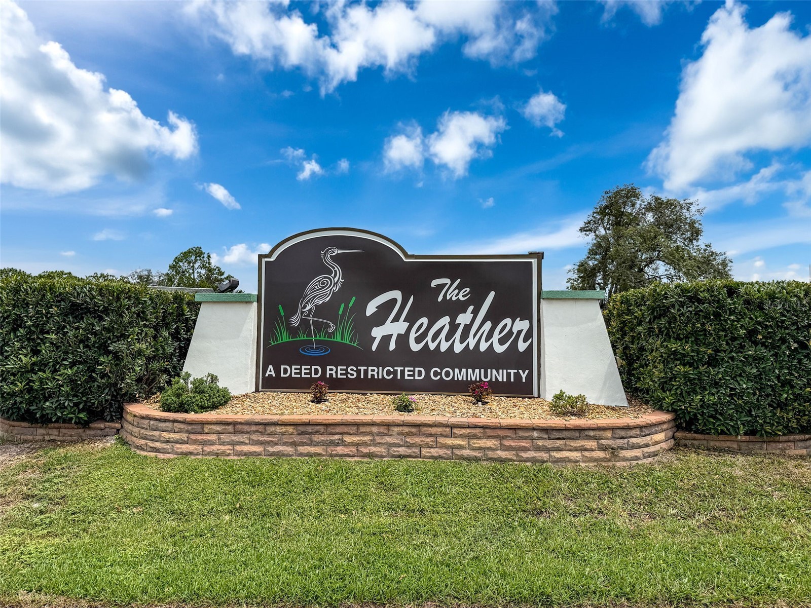 9127 Lingrove Road Weeki Wachee FL 34613 W7884791 image66