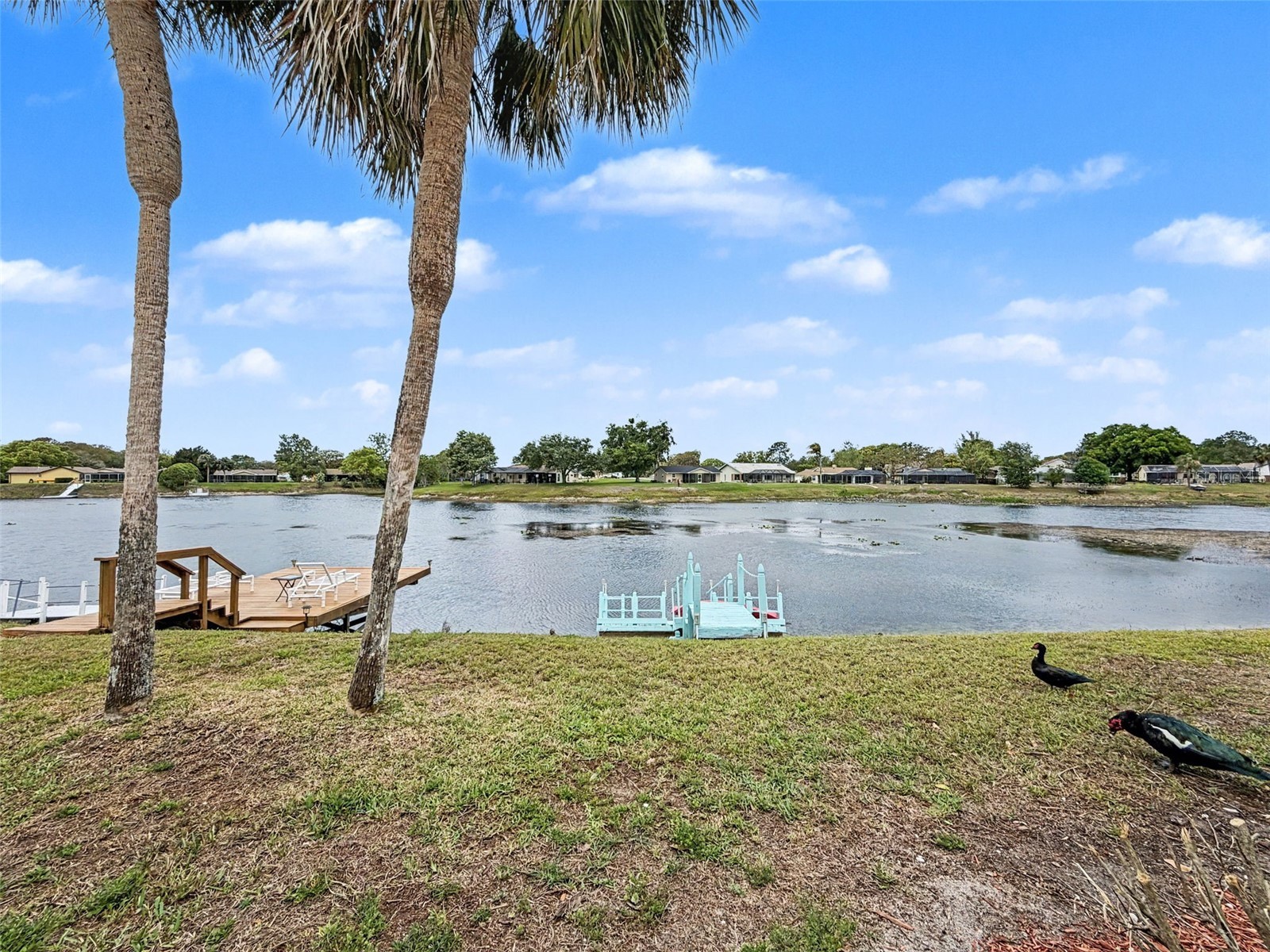 9127 Lingrove Road Weeki Wachee FL 34613 W7884791 image68