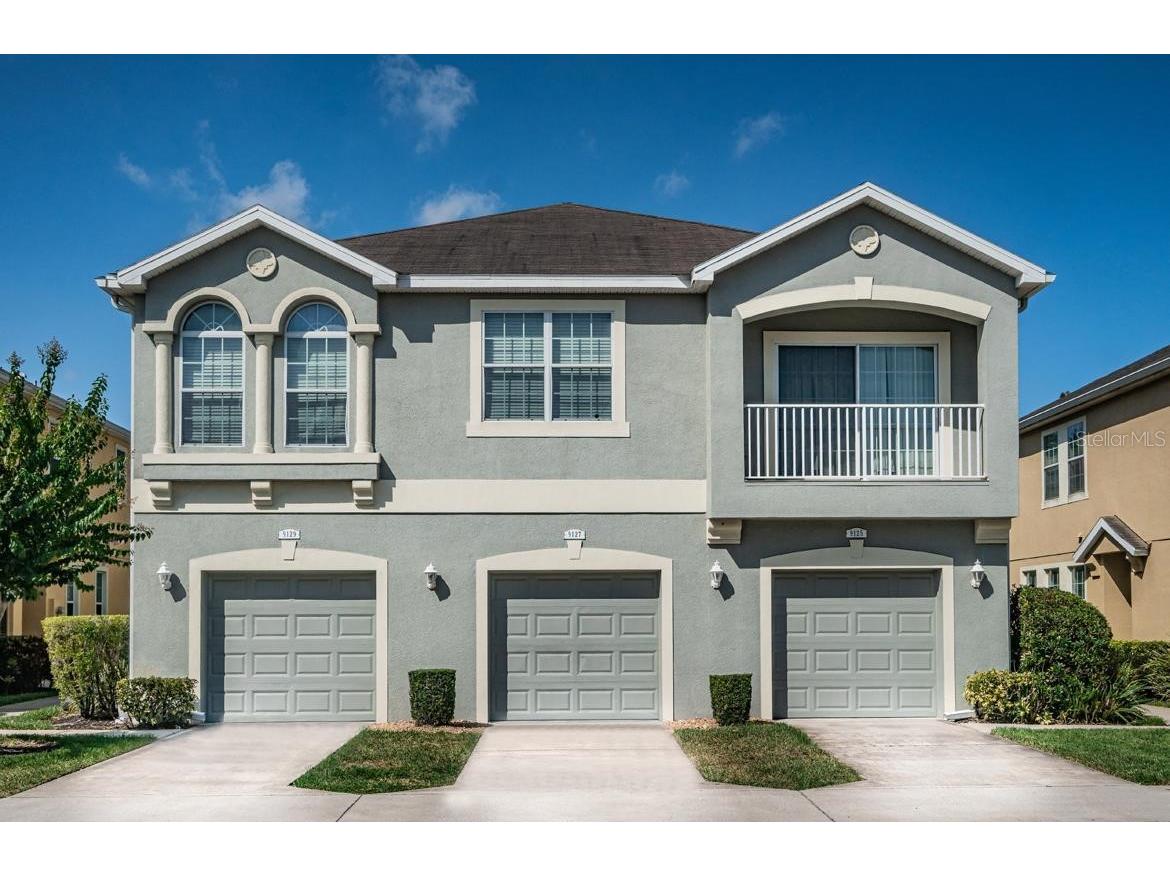 9127 Moonlit Meadows Loop Riverview FL 33578 T3453500 image1