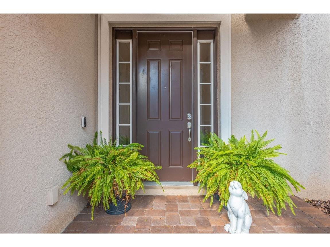 9127 Tillinghast Drive Tampa FL 33626 TB8451027 image2