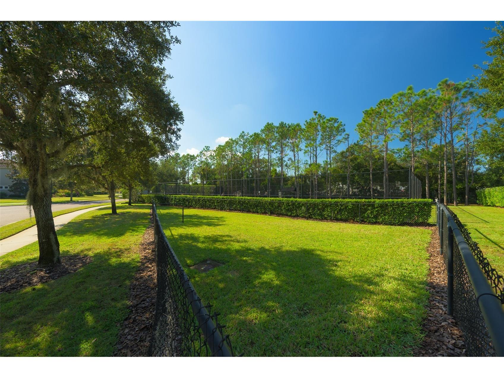 9127 Tillinghast Drive Tampa FL 33626 TB8451027 image55