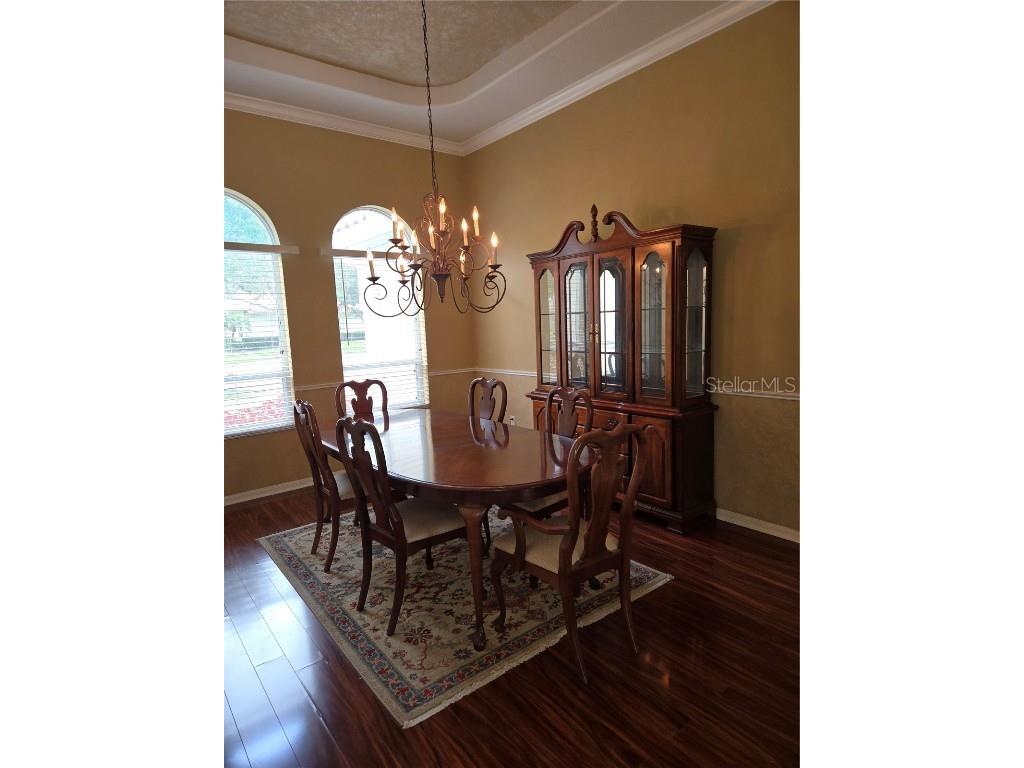 9127 Woodridge Run Drive Tampa FL 33647 TB8387817 image20