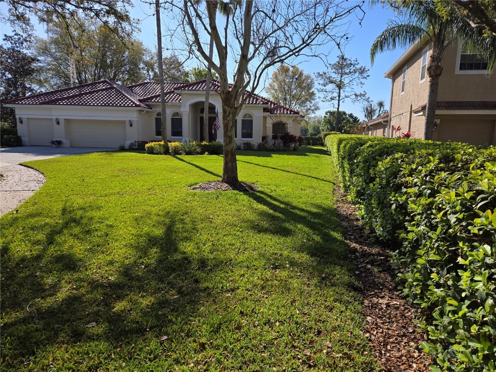 9127 Woodridge Run Drive Tampa FL 33647 TB8387817 image3