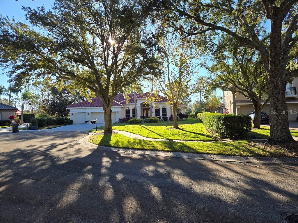 9127 Woodridge Run Drive Tampa FL 33647 TB8387817 image4